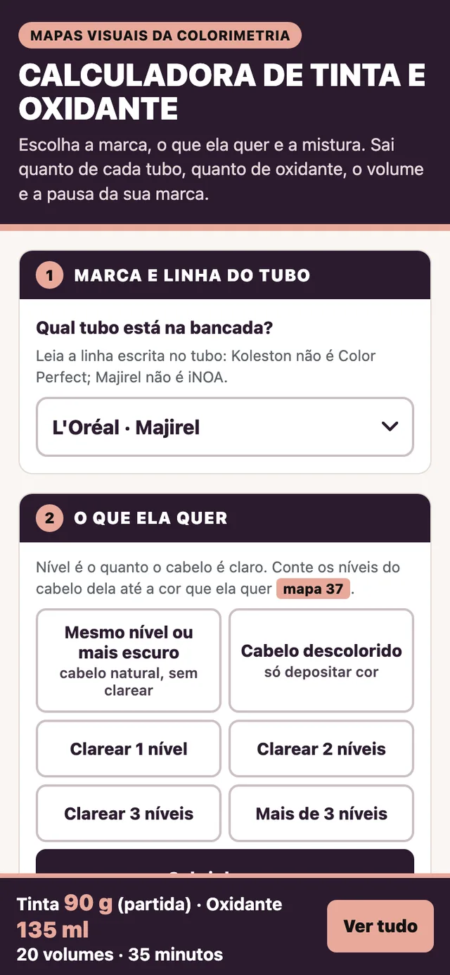 Calculadora de Tinta e Oxidante